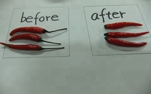 Máquina Despalilladora de Pimientos Secos Popular/Máquina Cortadora y Removedora de Tallos de Chile Rojo - Product Image 3