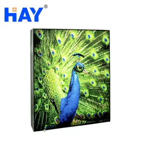 황금 공급자에게서 Led Frameless 직물 가벼운 상자를 조립하고 철거하게 쉬운