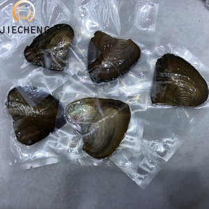 ไข่มุกน้ำจืดธรรมชาติแบบเพาะเลี้ยง ราคาพิเศษ ขายส่งจำนวนมาก ของขวัญสุดพิเศษ - Product Image 4
