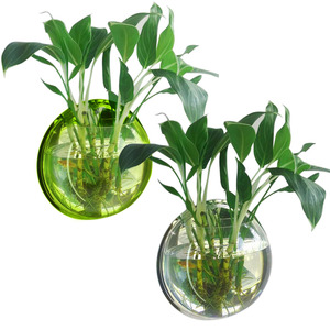 Dia 23Cm/29.5Cm Acryl Vissenkom Muurbevestiging Opknoping <span class=keywords><strong>Aquarium</strong></span> Aquatic Pet Supplies Producten <span class=keywords><strong>Aquarium</strong></span> Bloem plant Vaas - Product Image 5