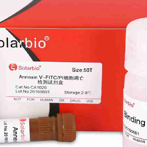 <span class=keywords><strong>Annexin</strong></span> <span class=keywords><strong>V</strong></span>-<span class=keywords><strong>FITC</strong></span> apoptoz algılama kiti - Product Image 1