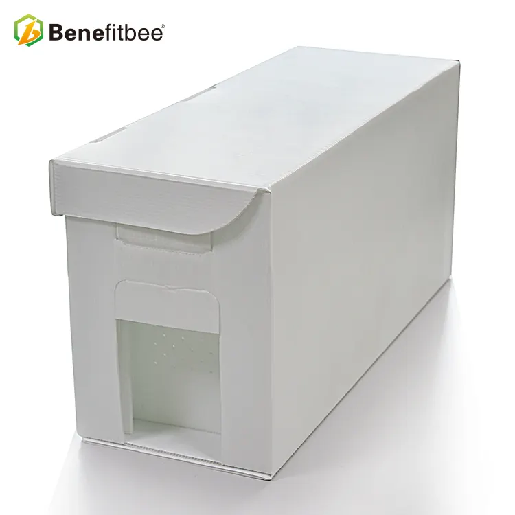 Высококачественное оборудование для пчеловодства, пластиковая коробка для пчеловодства с 5 рамами, коробка для пчеловодства Nuc