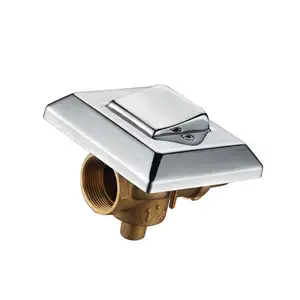 Verborgen Toilet Flush Valve