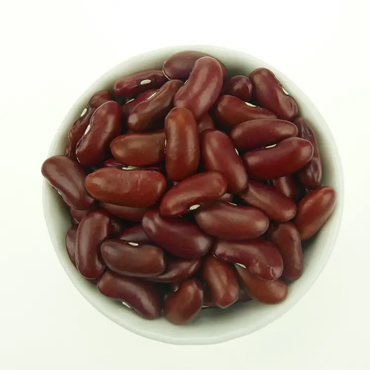 Beli kualitas tinggi harga kacang merah tua kacang merah
