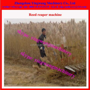 Máquina de recolección de hierba, pastos, alfalfa, juncos - Product Image 2