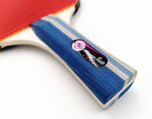 Da tavolo racchetta da tennis set 4 stelle racchette da tennis tavolo formazione di tennis da tavolo pipistrelli paddle 2 e 3 palle set - Product Image 2
