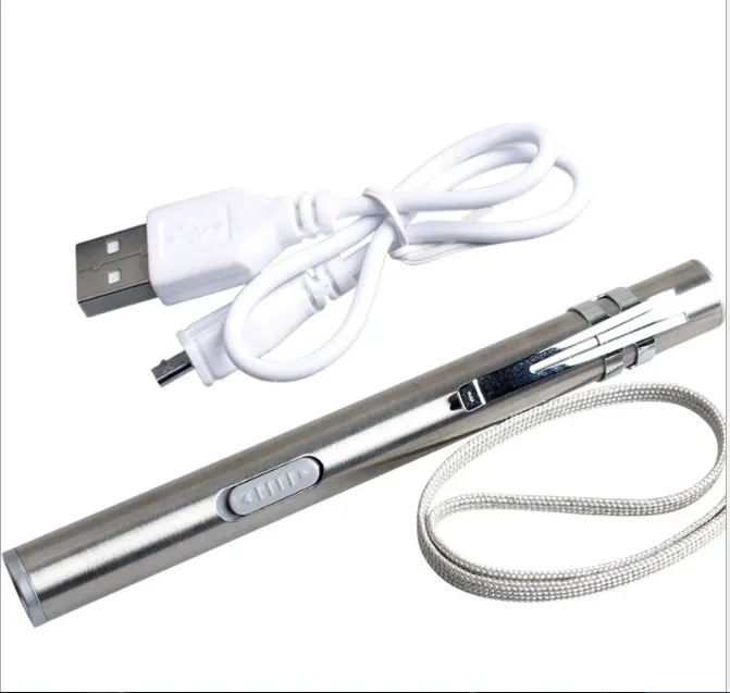 Metalen Draagbare Usb Mini Oplaadbare Zaklamp Rvs Glare Medische Zaklamp Pen Licht Led Met Lithium Batterij