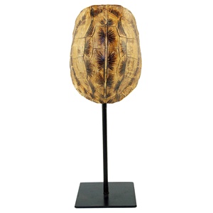 Base di guscio di tartaruga decorazione per la casa con scultura in metallo artificiale europa resina artigianale deposito di 30% animale CF1150242 realistico - Product Image 1