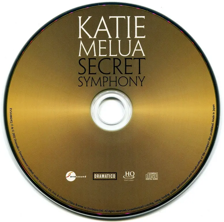 HQ Golden CD Replication Records with Customize Printing Package