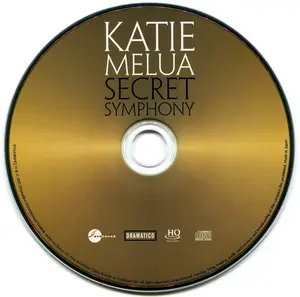 HQ Golden CD Replication Records with customize Printing package