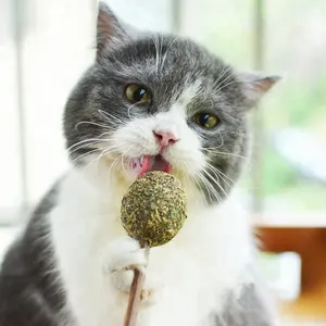 Natural Catnip Matatabi Lollipop teeth cleaning matatabi cat toys catnip lollipop ball fun treat healthy for kitten