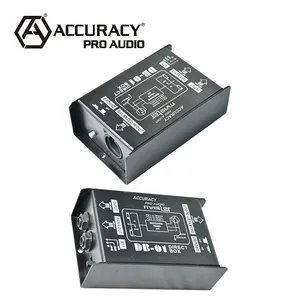Accuracy Pro Audio DB-01 Direct Box DI Professionelle passive Audio DI Box