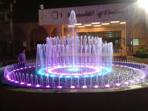 Programa de Control de Fuentes de Agua en Los Grandes Lagos para Viendo el Programa - Product Image 3