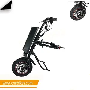 CNEBIKES-triciclo eléctrico de 12 "para personas con discapacidad, bicicleta de mano con batería de 11,6 AH de importación