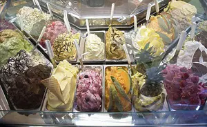 Recipiente de sorvete de aço inoxidável 5l, venda imperdível