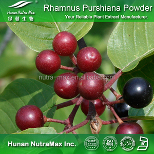 Ingrediente natural Extracto de <span class=keywords><strong>Rhamnus</strong></span> Purshiana 4:1- 20:1 - Product Image 3