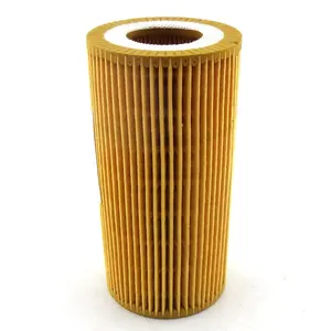 Auto Oil Filter 060115562