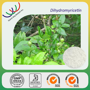 Suplemento Alimenticio Protector del Hígado <span class=keywords><strong>Myrica</strong></span> <span class=keywords><strong>Rubra</strong></span> (Lour.) Zucc. Extracto de Té de Vid DMY 98% Dihidromiricetina en Polvo - Product Image 3