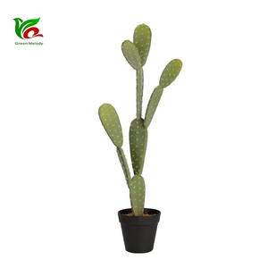 Artificielle <span class=keywords><strong>cactus</strong></span> plantes <span class=keywords><strong>grand</strong></span> en <span class=keywords><strong>grand</strong></span> en pot hôtel jardin célébration de fête cadeau décor <span class=keywords><strong>cactus</strong></span> - Product Image 6