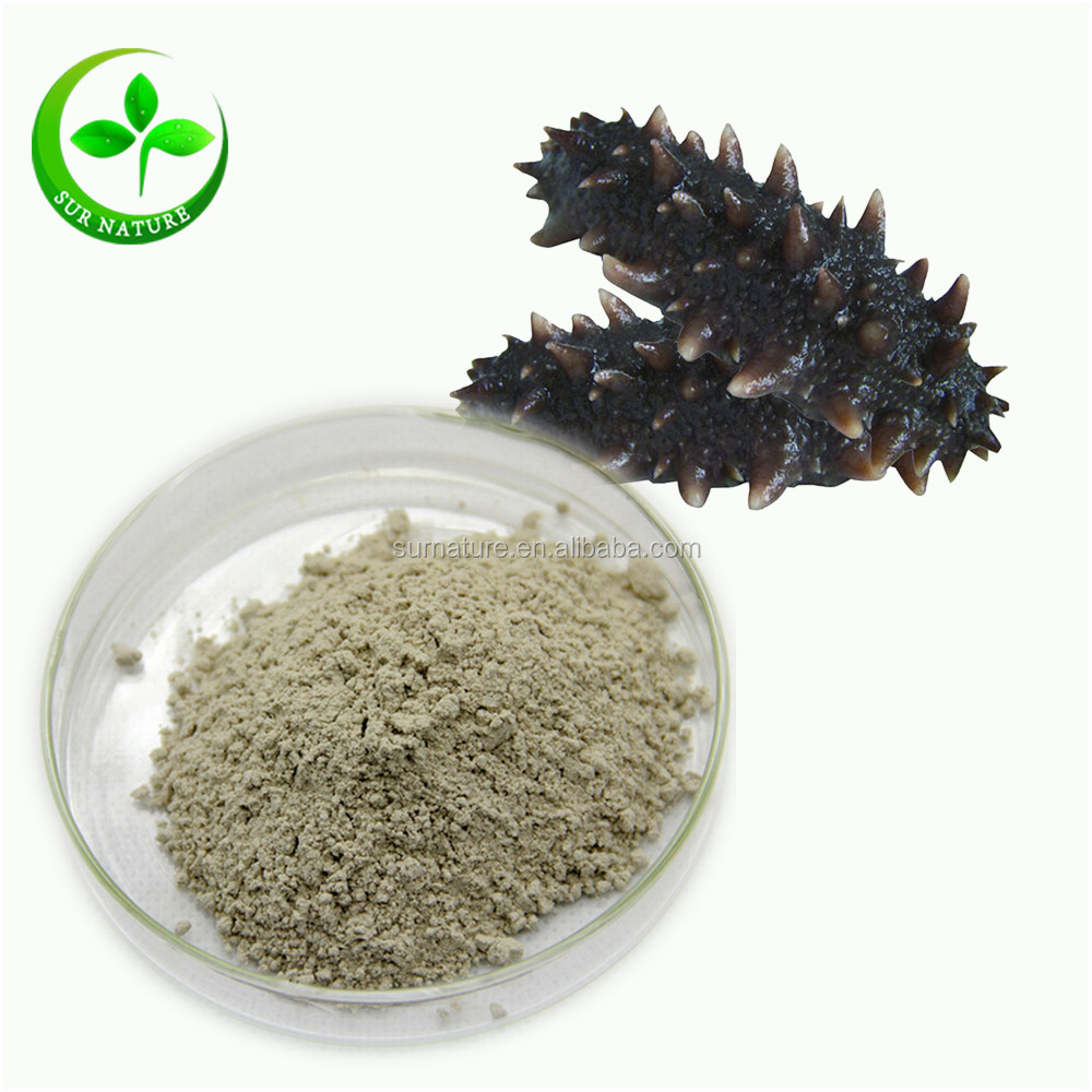 Organic Sea Cucumber Extract Powder