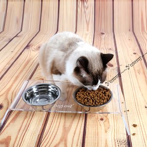 <span class=keywords><strong>Double</strong></span> bol d'alimentation en acrylique thermique et pliable pour animaux, <span class=keywords><strong>support</strong></span> avec bols, pour chats et chiens, mangeoire de nourriture en acier inoxydable, avec <span class=keywords><strong>support</strong></span> transparent - Product Image 5