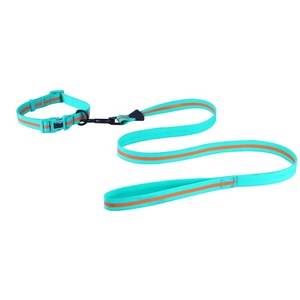 Collar de PVC respetuoso con el medio ambiente para perro, Correa y hebilla de Metal de oro rosa para caza al aire libre - Product Image 2