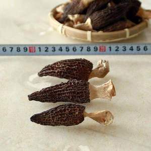 Harga Pabrik Jamur Morel Kering Jamur Morel Kering untuk Dijual - Product Image 2