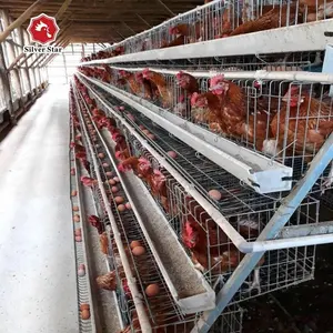 การออกแบบอัตโนมัติโลหะไก่สุ่มที่ใช้ในฟาร์ม/ราคาถูกไก่ชั้นกรงสำหรับขาย