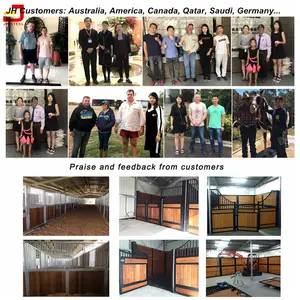 Ventanas y Puertas Metálicas para Establos de Caballos de Estilo Holandés - Product Image 5
