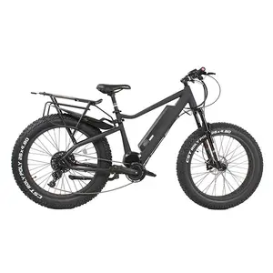 Süper güç 48V 1000W alüminyum alaşımlı çerçeve bafang BBS HD orta motor yağ lastik ebike bisiklet için yetişkin