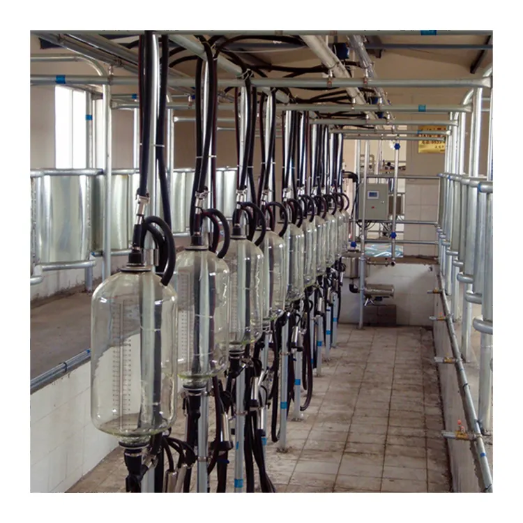 Automatisches Rohrleitung system für Kuhmelk maschinen