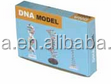 Modelo de ADN modelo de estructura