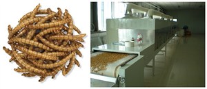 Essiccatore a vite senza fine per pane macchina per asciugare a microonde - Product Image 2