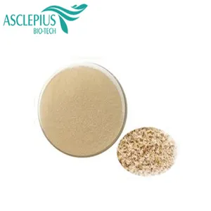 High quality Factory price organic psyllium husk powder/bulk psyllium husk