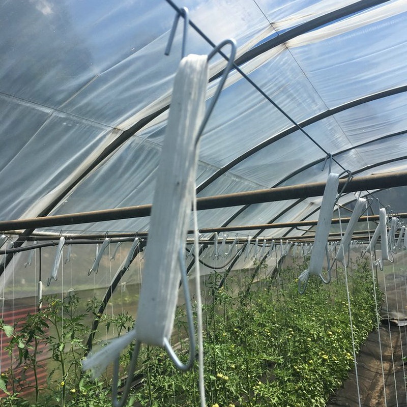 Высококачественный Лидер продаж, томатный крючок из оцинкованной стали с веревкой 12 м для теплицы