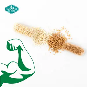 Branched Chain Amino Acids Supplements Timed Micro Pellets Slow Release Granular BCAA Capsules with Microbead