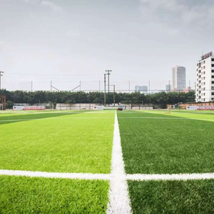 FOSHAN QINGZHOU Usine Directe Gazon Synthétique PE Monofilament Vert Haute Densité 50mm (Forme en S) pour Football Série S6 - Product Image 2