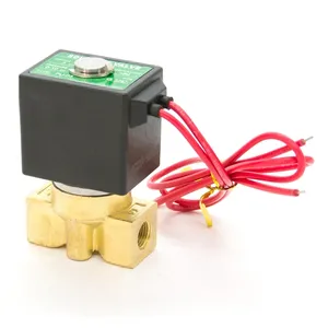 Katup Solenoid Elektrik, untuk Air 12V 24V Kecil