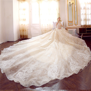 <span class=keywords><strong>Abiti</strong></span> da Sposa di Lusso Eleganti in Organza Champagne con Applicazioni in Pizzo, Gonna a Palloncino, Strascico Cattedrale, Maniche Lunghe 2025 WF045 - Product Image 5