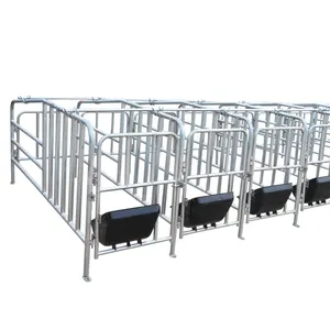 China supplies best sale price in philippines european style pen sow stall galvanized pig box swine gestation crates