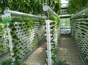 Hydroponic Systems Greenhouse A Complete Vertical PVC Hydroponic System And Gable Shaped Greenhouse