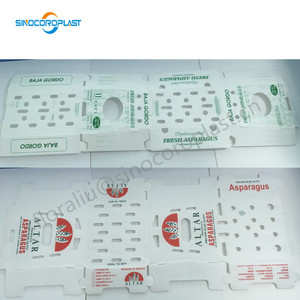 Thủy làm mát măng tây đóng gói Măng tây hộp nhựa rau đóng Gói 5kg măng tây hộp nhựa - Product Image 5