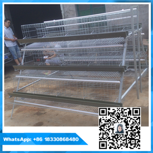 Venta grande utilizado para granja <span class=keywords><strong>de</strong></span> cría <span class=keywords><strong>de</strong></span> gallinas Ponedoras <span class=keywords><strong>de</strong></span> <span class=keywords><strong>huevos</strong></span> Jaula poutry con presión <span class=keywords><strong>de</strong></span> agua automático - Product Image 1