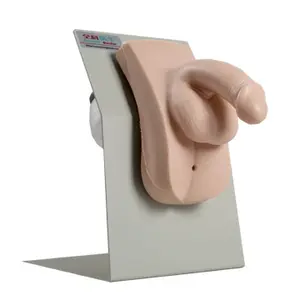 GD/H28E General Doctor Advanced <span class=keywords><strong>Wearable</strong></span> Nam Ống Thông Niệu Đạo Mô Phỏng (Mô Hình Đào Tạo Y Tế) - Product Image 1