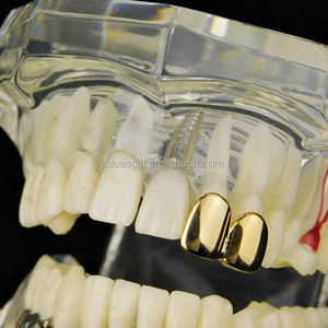 Rejilla Dental <span class=keywords><strong>de</strong></span> Dos <span class=keywords><strong>Dientes</strong></span> Chapada en <span class=keywords><strong>Oro</strong></span> <span class=keywords><strong>de</strong></span> 14K Estilo Hip Hop Blues RTS con Kit <span class=keywords><strong>de</strong></span> Molde <span class=keywords><strong>de</strong></span> Silicona TG153 - Product Image 5