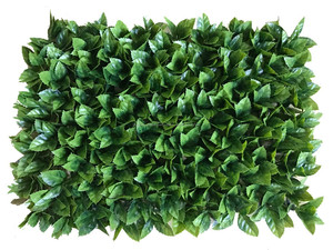 Material de plástico sistema de la <span class=keywords><strong>pared</strong></span> <span class=keywords><strong>vertical</strong></span> verde artificial para decoración de jardín al aire libre - Product Image 6