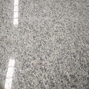 Gạch <span class=keywords><strong>Granite</strong></span> G602 Đánh Bóng G602 Rẻ Nhất Trung Quốc Gạch Lát Đá 100X100 20X20 24X24 40x40 - Product Image 2