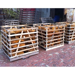 Escultura de cabeça de ferro fundido antigo rústico, tamanho de vida decorativa para o ar livre, jardim, animal, escultura - Product Image 6