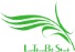 Beijing Blue Sky & Green Water International Trading Co., Ltd. logo