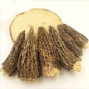<span class=keywords><strong>Morilles</strong></span> séchées à <span class=keywords><strong>prix</strong></span> d'usine, champignons Morchella - Product Image 1